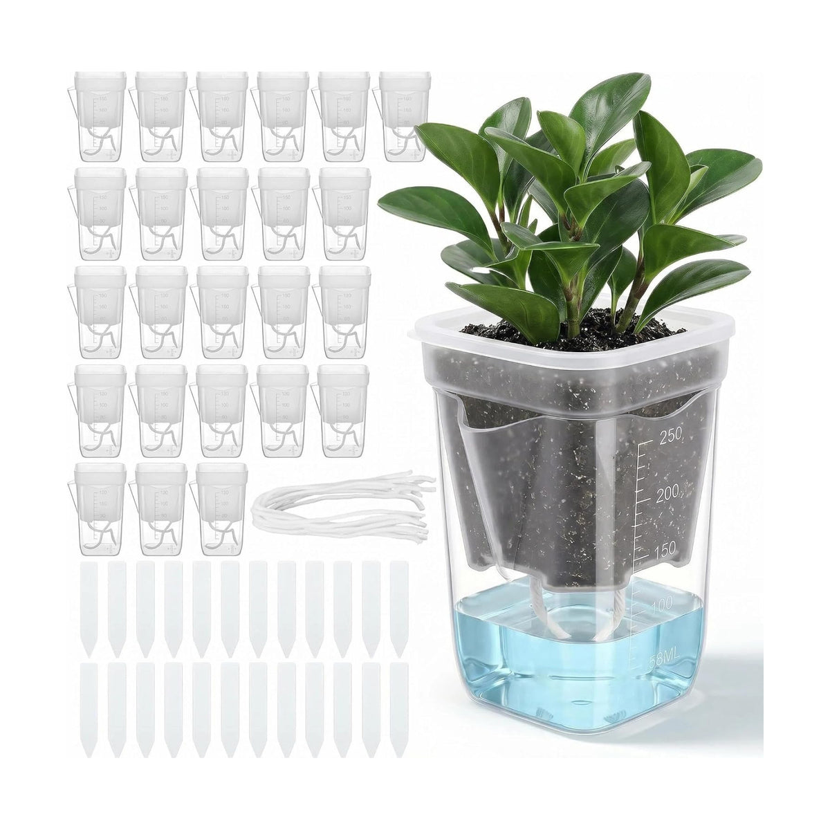 24 Sets Small Self Watering Pots for Indoor Plants - 2.5″ Mini Clear Plastic Planter with Cotton Ropes & Labels, Self-Wicking Planters with Water Level for Propagation, Cuttings, Seedlings & More