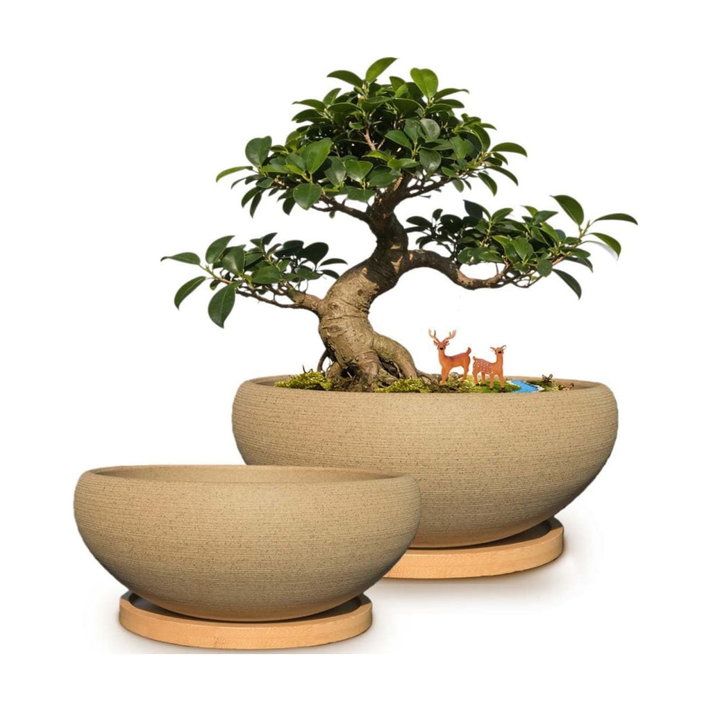 MUZHI 2 Pack 8+6 Inch Plant Pot - Natural Unglazed Ceramic Bonsai Pot with Bamboo Saucer, Large Vintage Clay Shallow