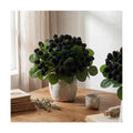 Hoteam 5 Pcs Artificial Raspberries Stems 11 Inch with Leaves, Black