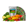 B&KM Farms Vegetable Seed Collection - 36 Varieties, 72 Packets, 80,000+ Heirloom Non-GMO Seeds, Resealable Storage