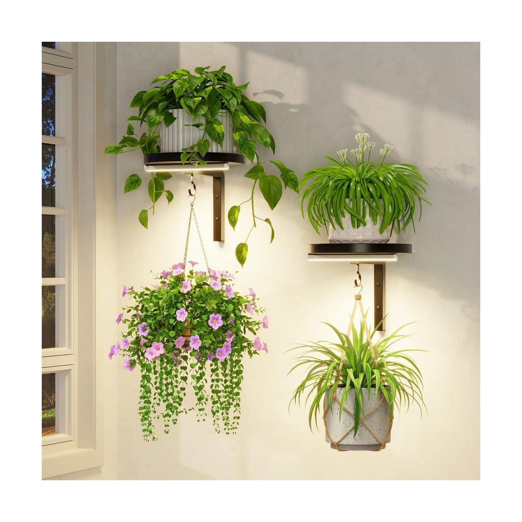 LASZOLA Plant Hanger Holder Shelf Wall Indoor with Lights, 2 Pcs Black | Modern Window Metal Floating Stand, Hanging