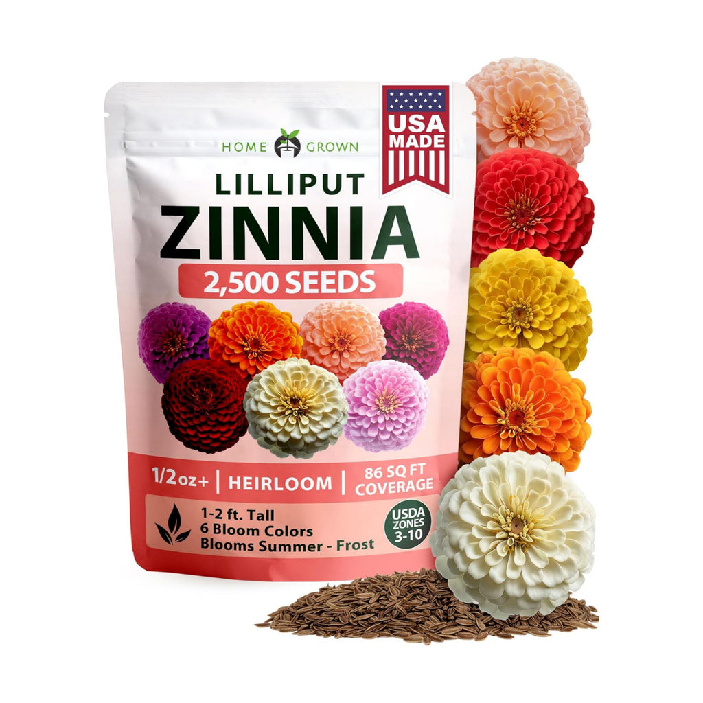 HOME GROWN Zinnia Seeds, Lilliput Mix, 2,500 Seeds, Zinnia elegans