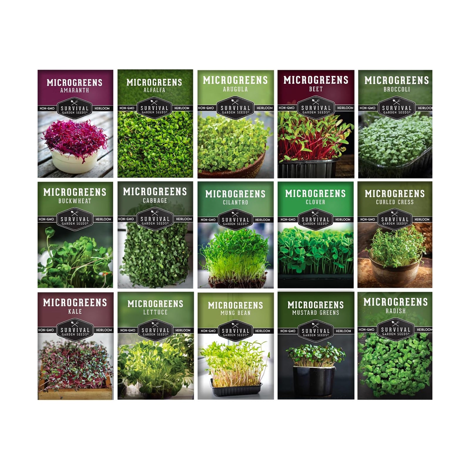 Microgreens Seeds Variety Pack – 15 Heirloom Sprouting Varieties | Indoor Countertop Growing – Broccoli, Radish, Kale