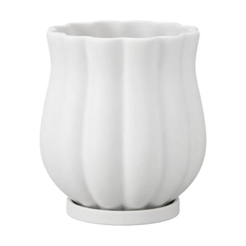 5.8" Matte White Ceramic Plant Pot with Saucer | 5.8 x 5.8 x 6.6 Inches | With Drainage Hole | Suitable For Indoor and