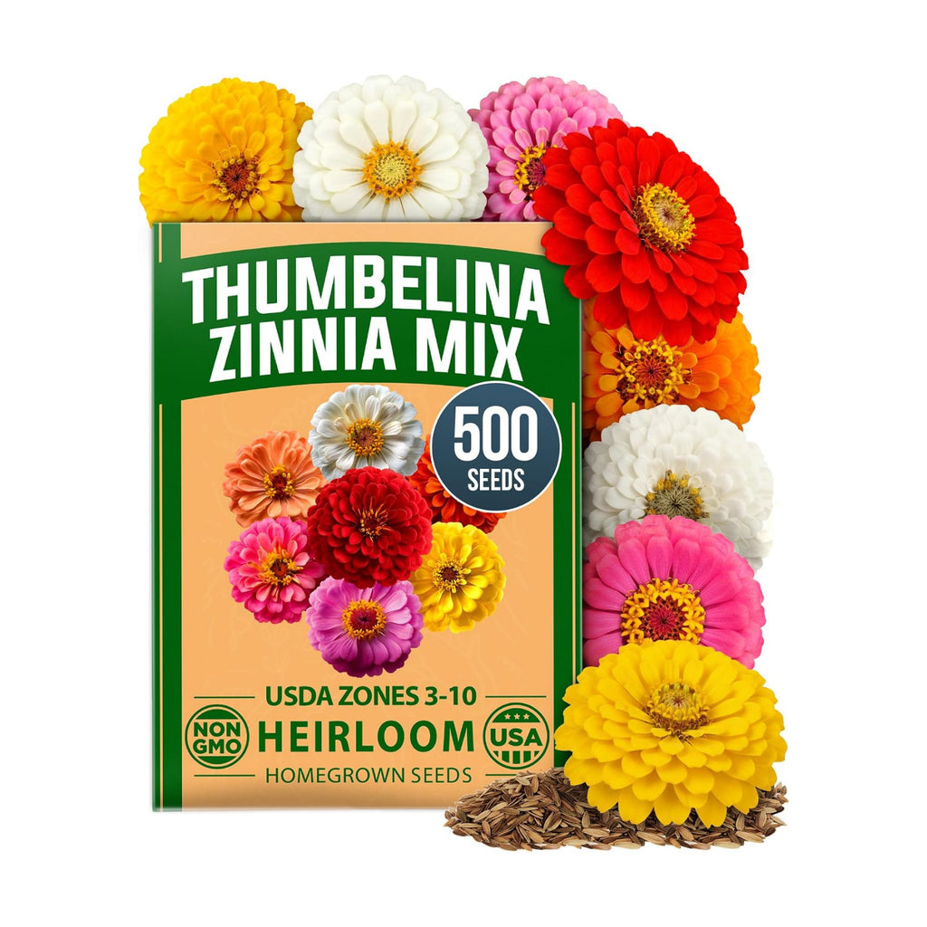 HOME GROWN Zinnia Seeds, Thumbelina, 500 Seeds, Zinnia elegans