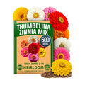HOME GROWN Zinnia Seeds, Thumbelina, 500 Seeds, Zinnia elegans