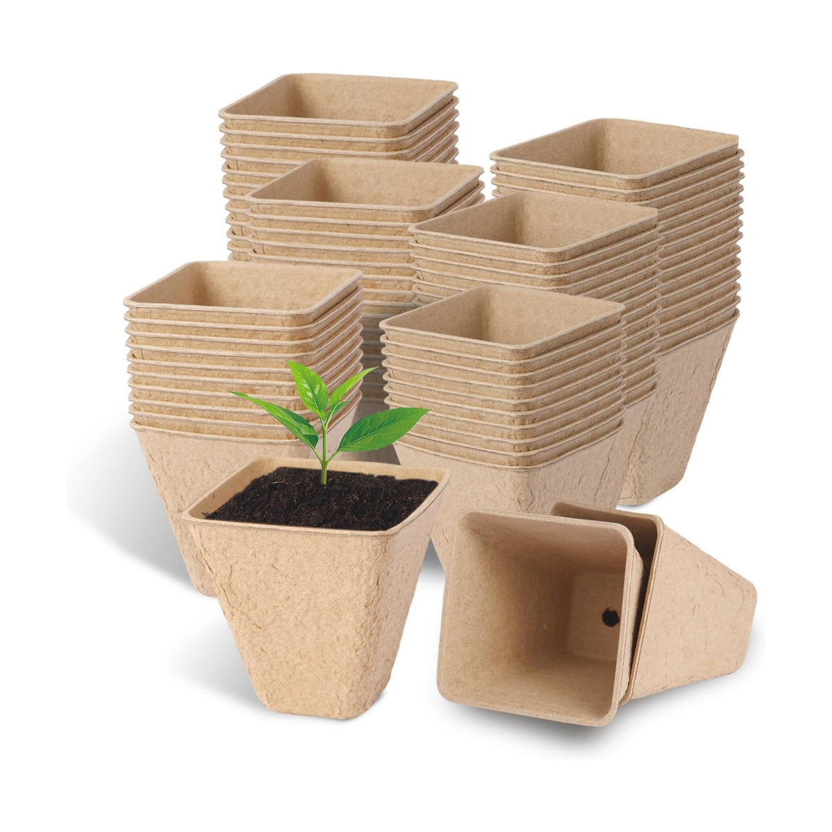 80-Pack 3.15" Square Biodegradable Seed Starter Pots