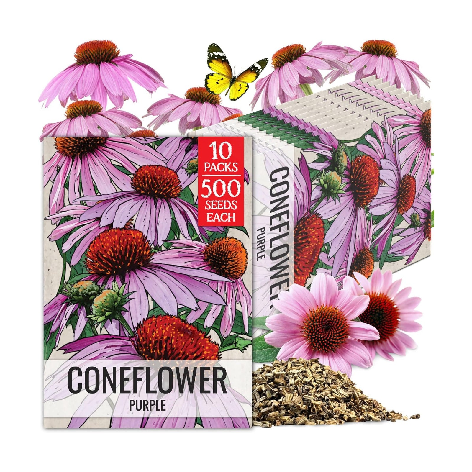 Seed Needs Purple Coneflower Seeds to Plant Echinacea Flowers 10 Pack