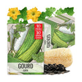 Seed Needs Luffa Seeds for Planting Loofah Sponge Gourd Heirloom 10 Pack