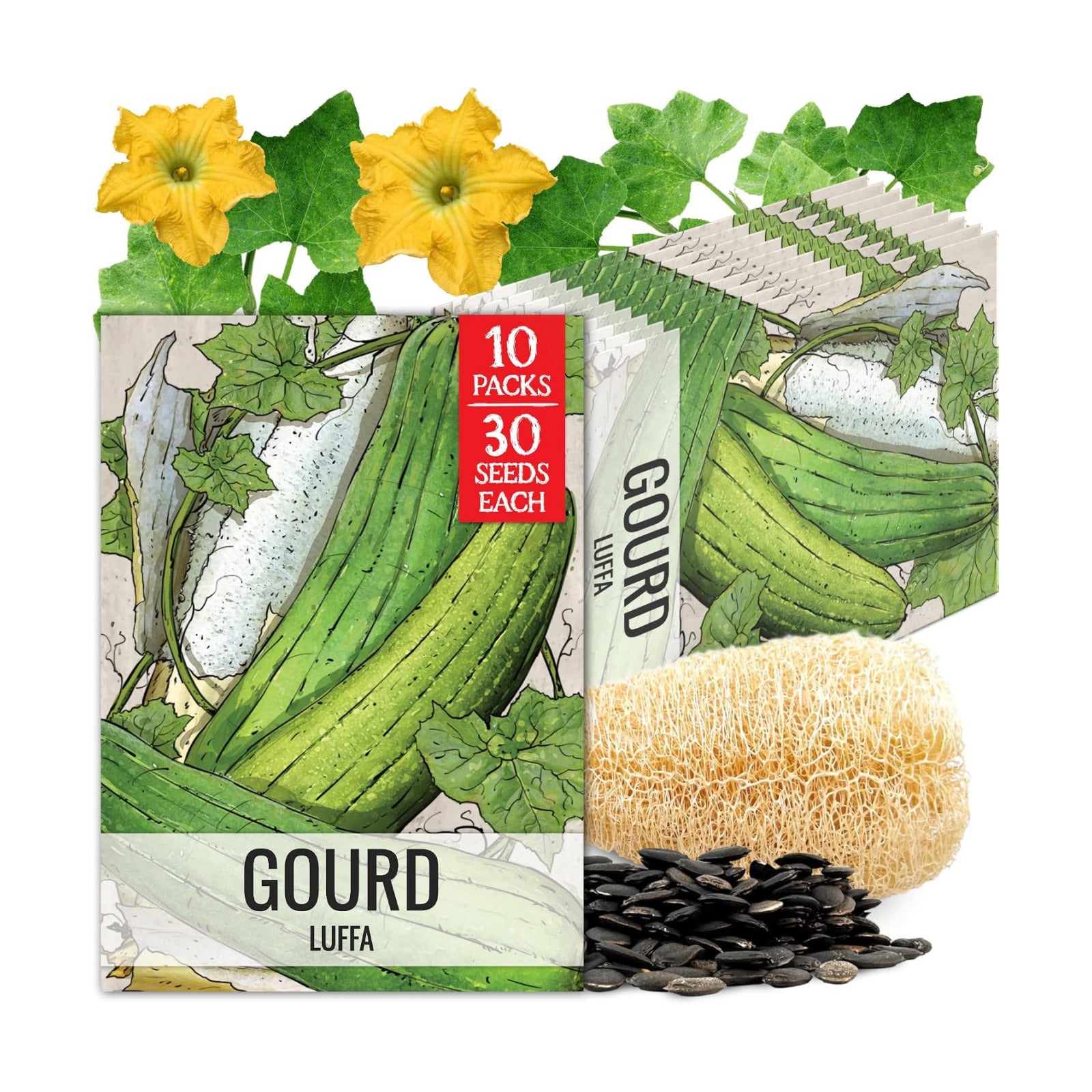 Seed Needs Luffa Seeds for Planting Loofah Sponge Gourd Heirloom 10 Pack