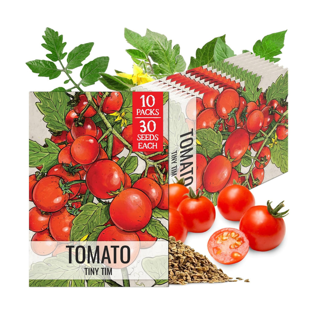 Seed Needs Tiny Tim Dwarf Tomato Seeds to Plant Heirloom Non-GMO 10 Pack