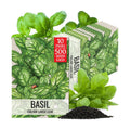 Seed Needs Italian Basil Seeds to Plant Heirloom Non-GMO Herbs 10 Pack