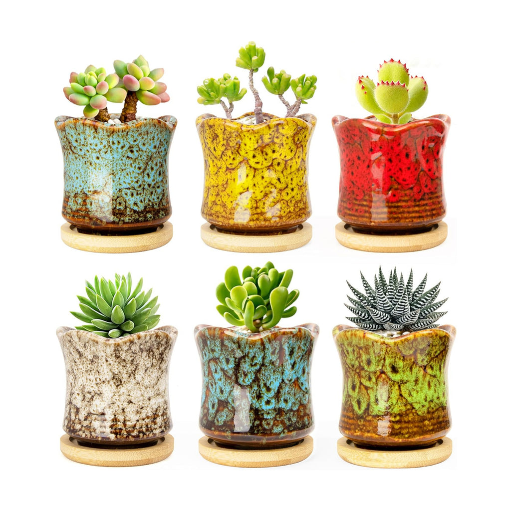 Succulent Pots with Drainage Tray, Cute Ceramic Pots for Plants Set of 6