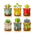 Succulent Pots with Drainage Tray, Cute Ceramic Pots for Plants Set of 6