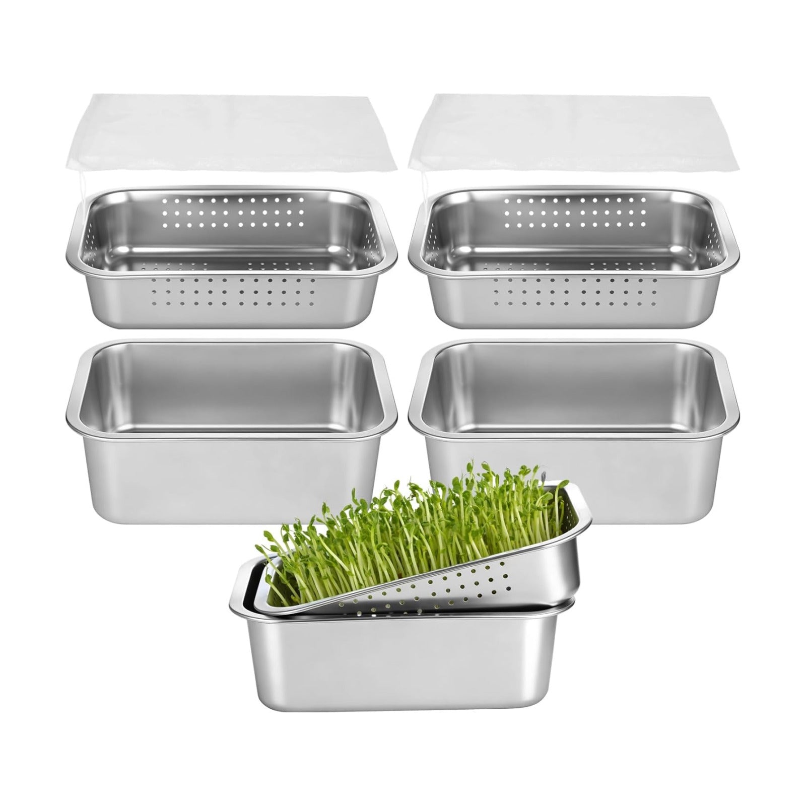 2 Pack Stainless Steel Seed Sprouter Tray Kit with Mesh Inserts | Raised drainage design supports cleaner rinsing, even