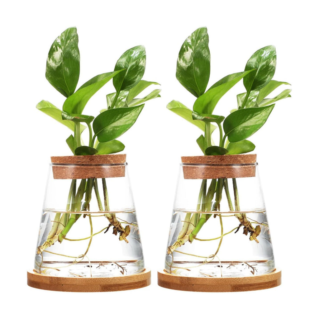2pcs Glass Plant Propagation Station with Wooden Base Hydroponic Plants Vase for Indoor Decor Glass Terrarium Vase Jars