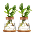 2pcs Glass Plant Propagation Station with Wooden Base Hydroponic Plants Vase for Indoor Decor Glass Terrarium Vase Jars