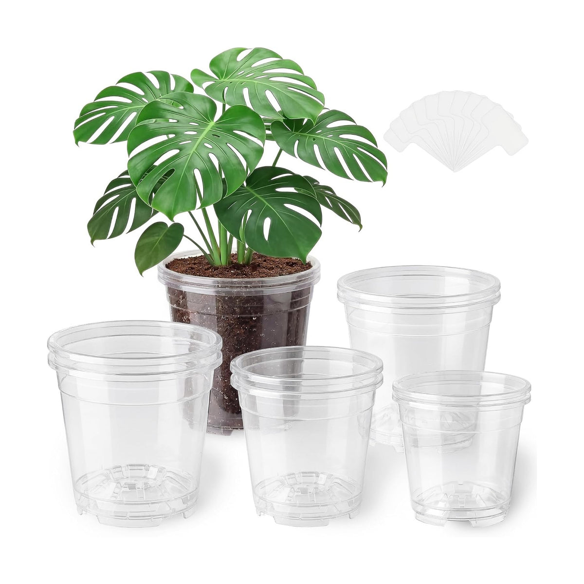 8 Pack Clear Nursery Pots with Drainage Holes, 5/6/6.7/7.5 Inch