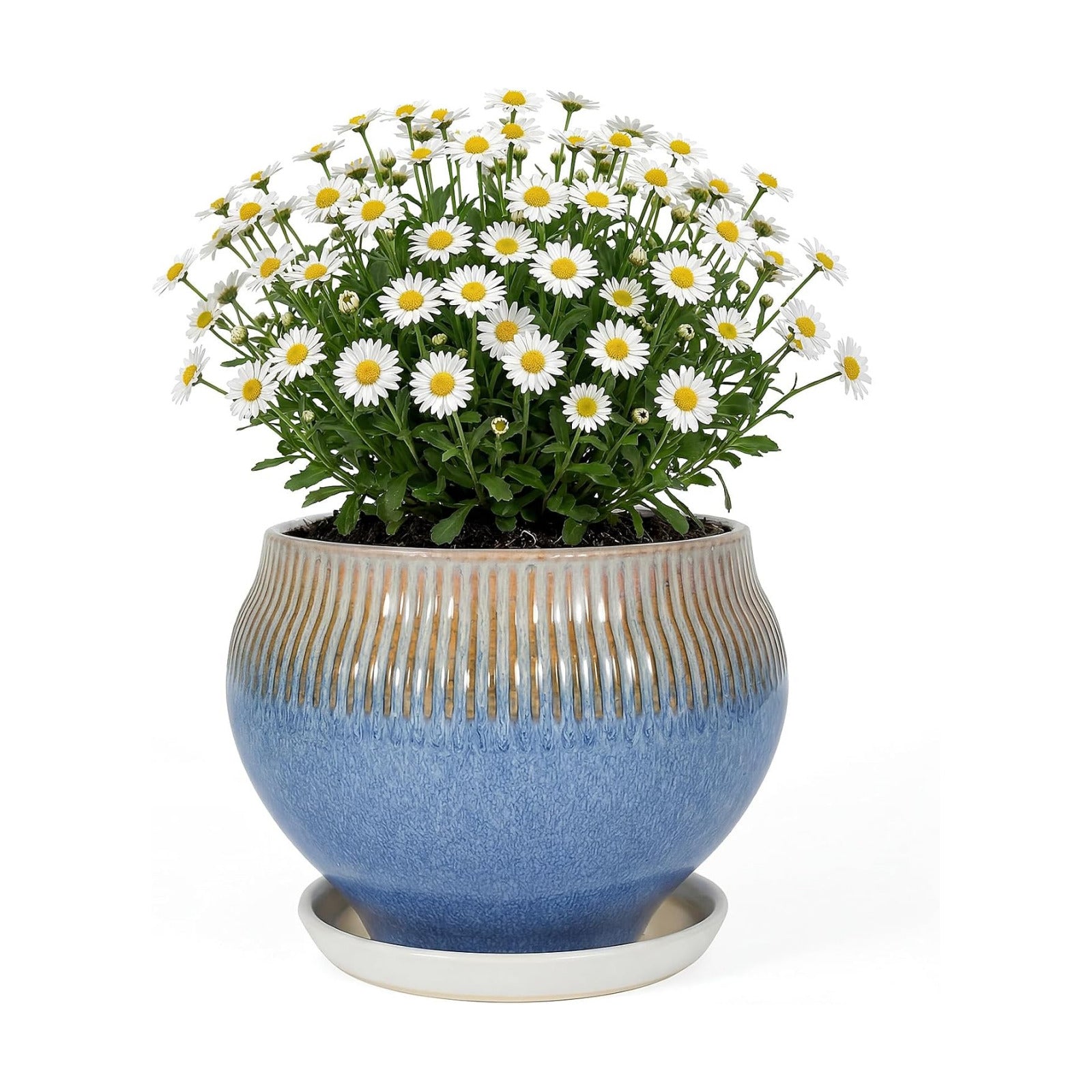 8.3 Inch Modern Ceramic Plant Pot with Drainage Hole and Mesh Net, Indoor Outdoor Planter with Saucer & Gardening