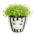 Modern Abstract Face Ceramic Planter with Black & White Stripes ，5.9in Indoor Planter with Drainage Outlet and Tray