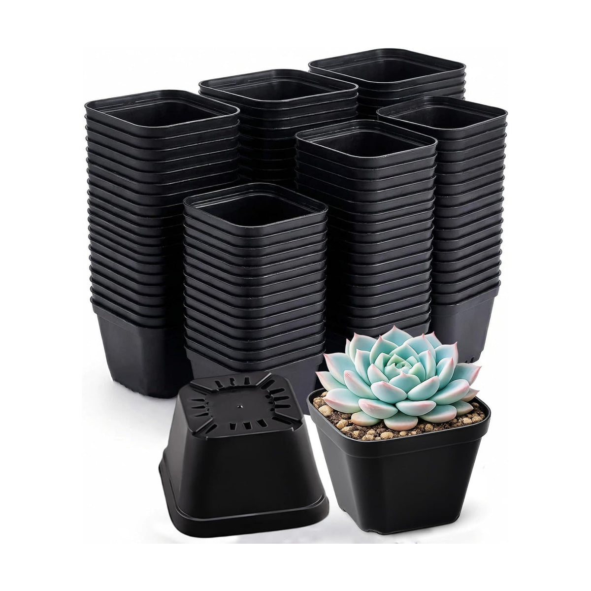 250 Packs Square Nursery Pots for Plants 4 Inch Seedling Pots