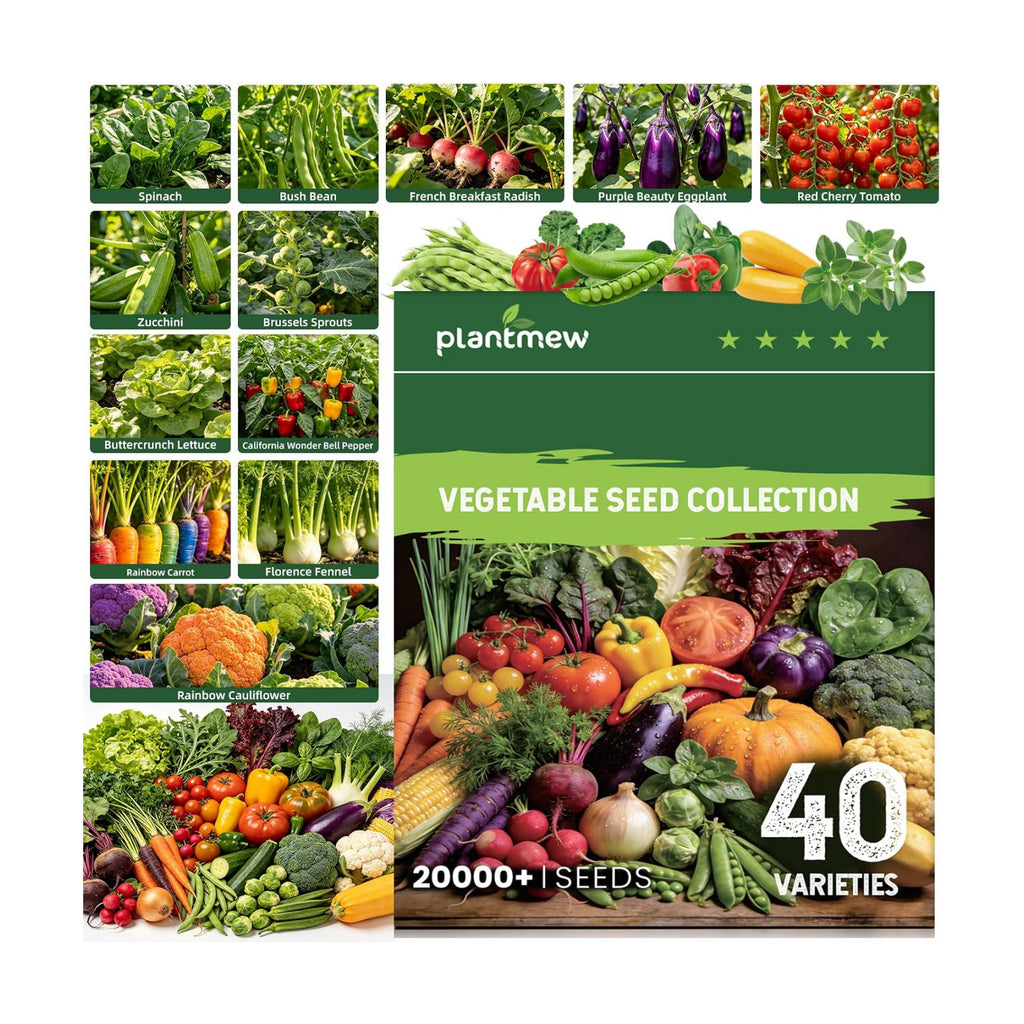 Vegetable Heirloom Seeds Vault Kit | 40 Varieties | 20,000+ High Yield Garden Seeds | Sweet Basil, Cherry Tomato