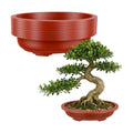HOIGON 8 PCS 15 x 11 Inch Plastic Oval Bonsai Training Pots, Red Large Shallow Oval Planter Pot with Drainage Hole