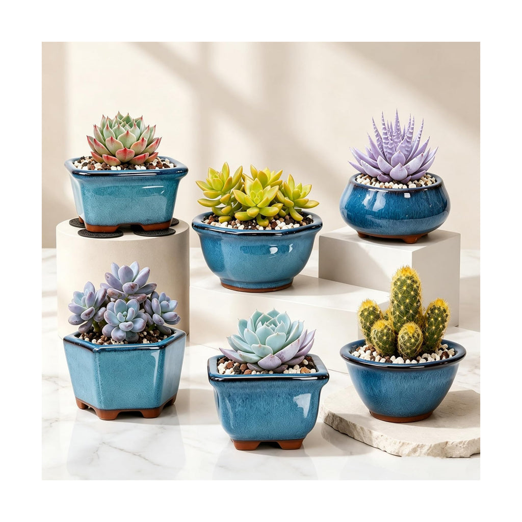 6 Pack Bonsai Pot Planter, 3" 4" Ceramic Glazed Succulent Pots | Small Succulent Planters with Drainage, Training Pot