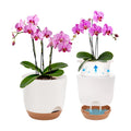 7.2 Inch Self Watering Orchid Pots for Indoor Plants,Macetas para Orqudeas,Flower Pots for Indoor Plants with Holes（White）