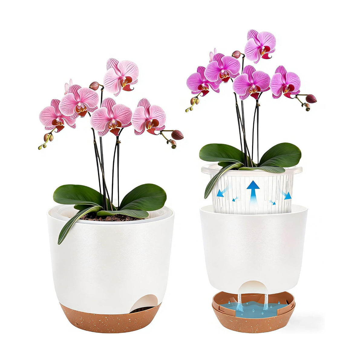 Self Watering Orchid Pots for Indoor Plants,5.8 Inch Macetas para Orqudeas,Flower Pots for Indoor Plants with Holes(White)