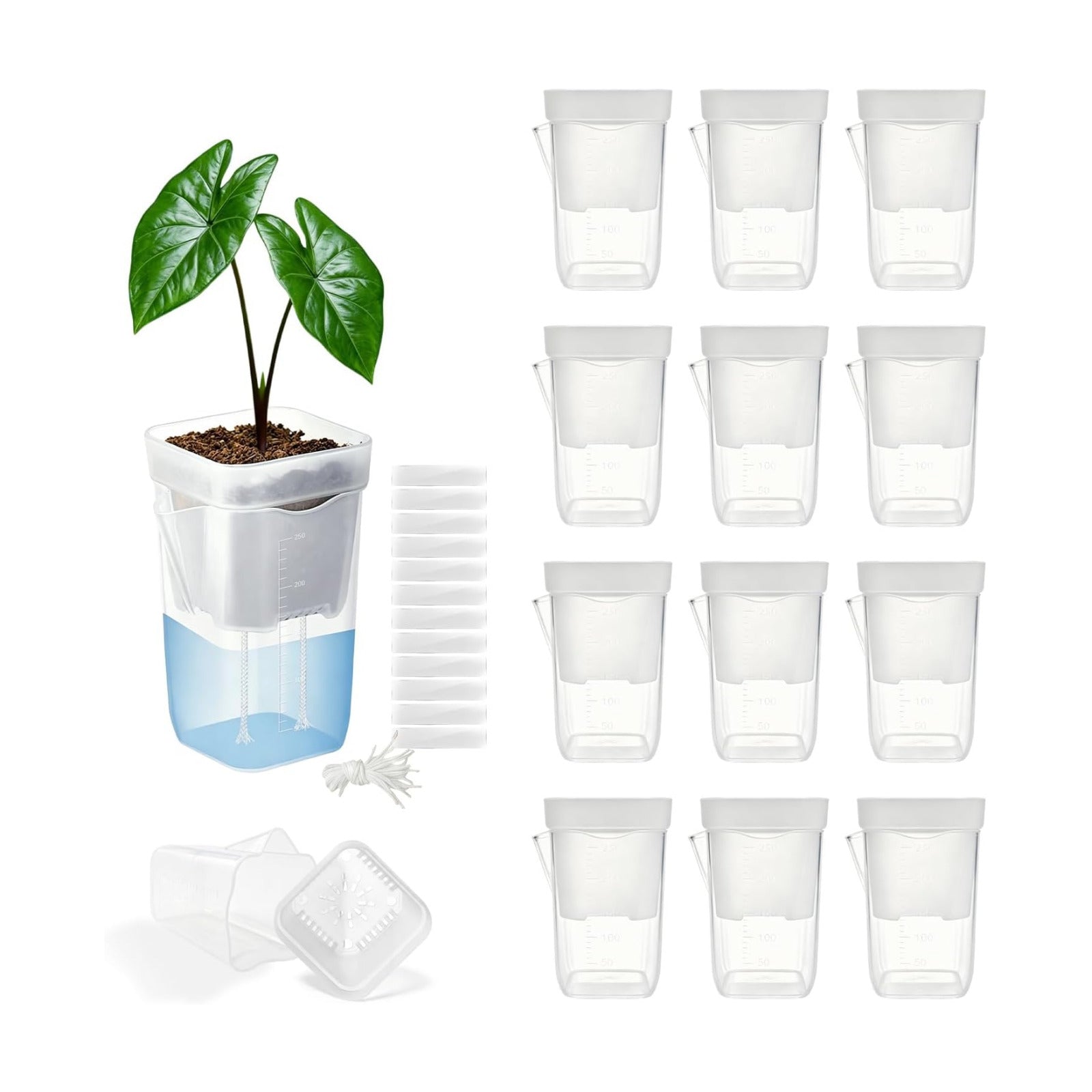 12 Pack 2.5" Self Watering Pots for Indoor Plants,Small Clear Plastic Planters with Water Level Indicator & Drainage