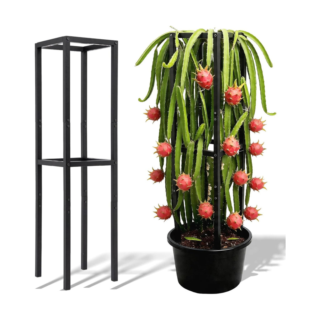 48" Dragon Fruit Trellis Durable Metal Support for Climbing Plants | Premium Durable Plant Accessories for Gardeners