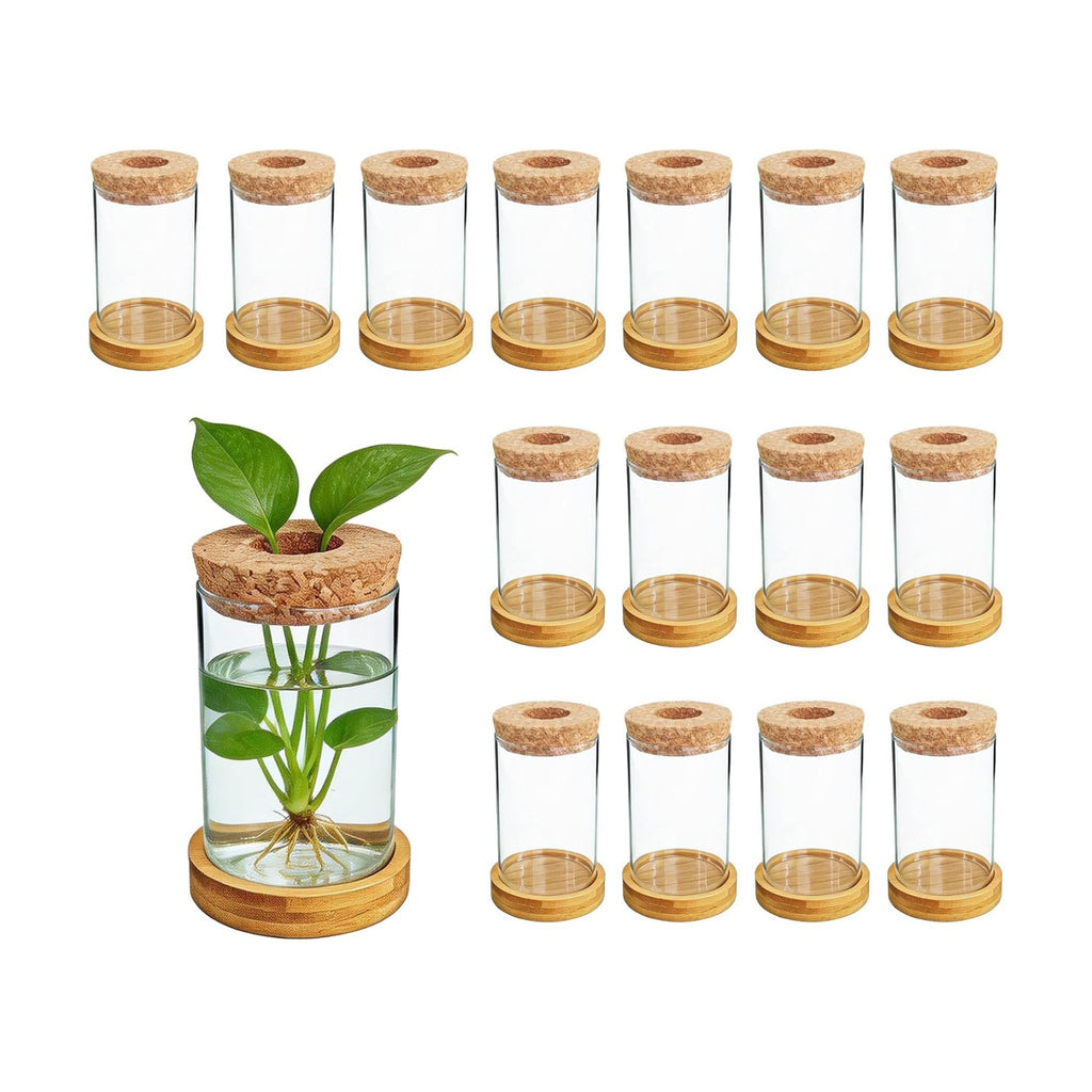 16 Pcs Propagation Vases with Bamboo Stand and Hole Lid, Glass Plant Propagation for Plants Water Hydroponic Desktop