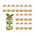16 Pcs Propagation Vases with Bamboo Stand and Hole Lid, Glass Plant Propagation for Plants Water Hydroponic Desktop