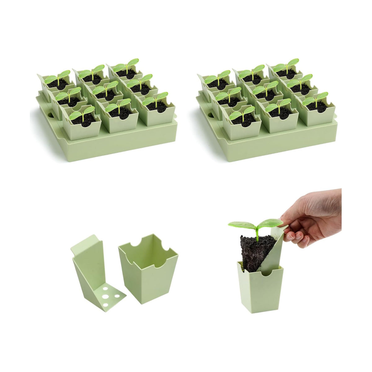 2 Pack Seed Starter Trays, Lift-Out Handles, Easy Transplanting