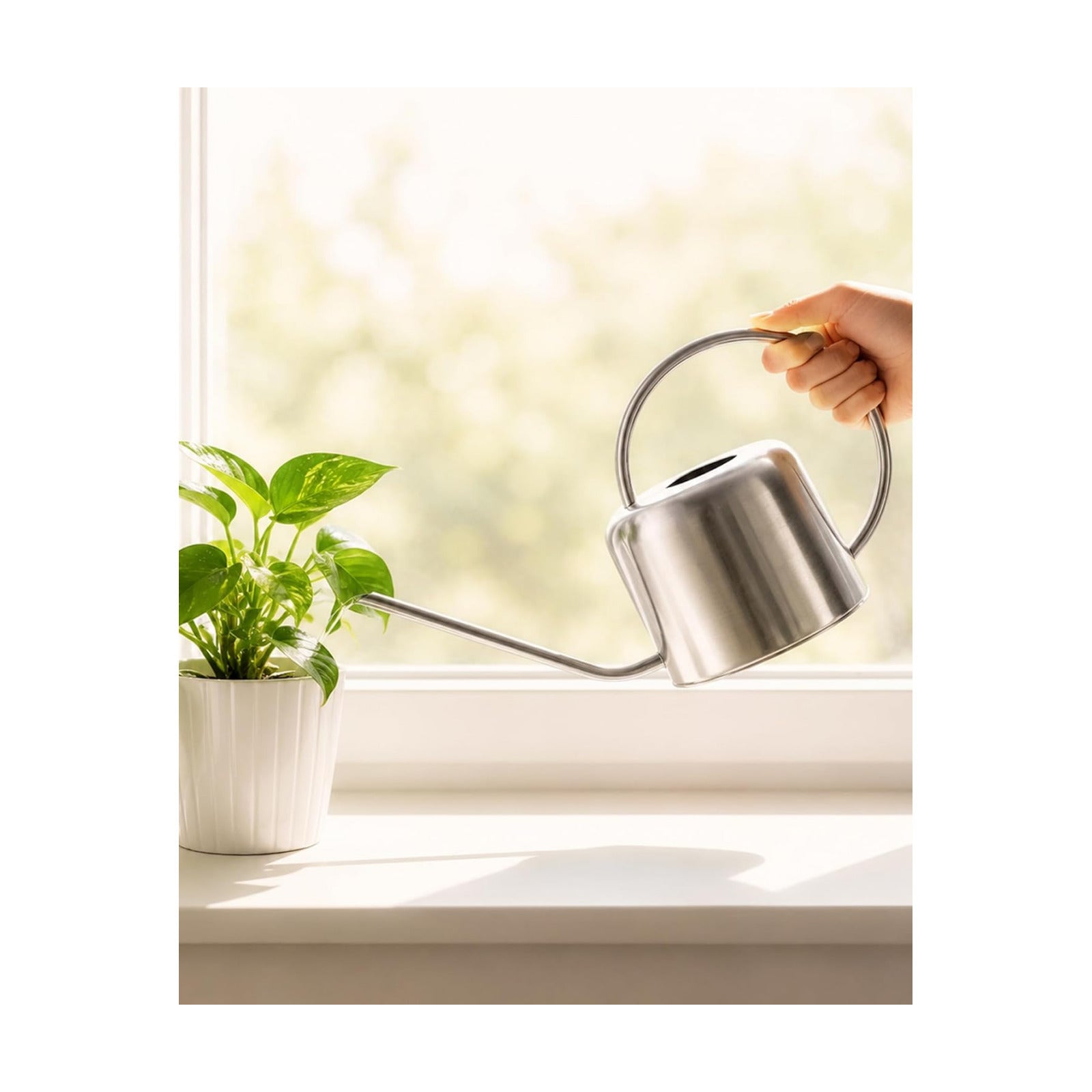 Bamworld Metal Watering Can for Indoor Outdoor Plant 1L/35oz Silver | Stainless Steel Watering Can with Long Spout for