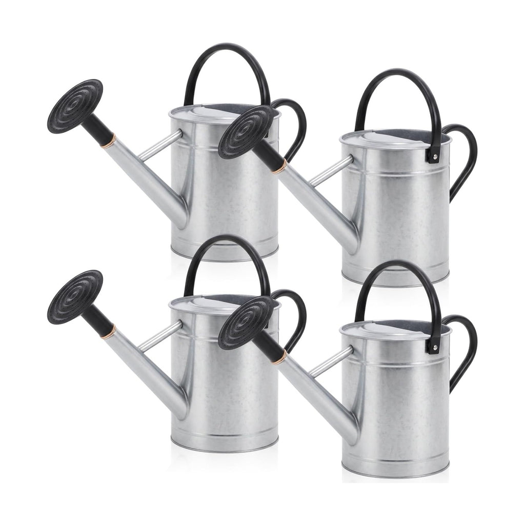 4 Pcs 1 Gallon Metal Watering Can for Indoor Outdoor Plants, Galvanized Garden Water Can with Long Spout and Dual