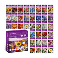 Wildflower Seeds Mix 1/2 lb, 19830+ Seeds Perennial& Annual 36 Varieties Flower Seeds for Planting，Non-GMO Heirloom