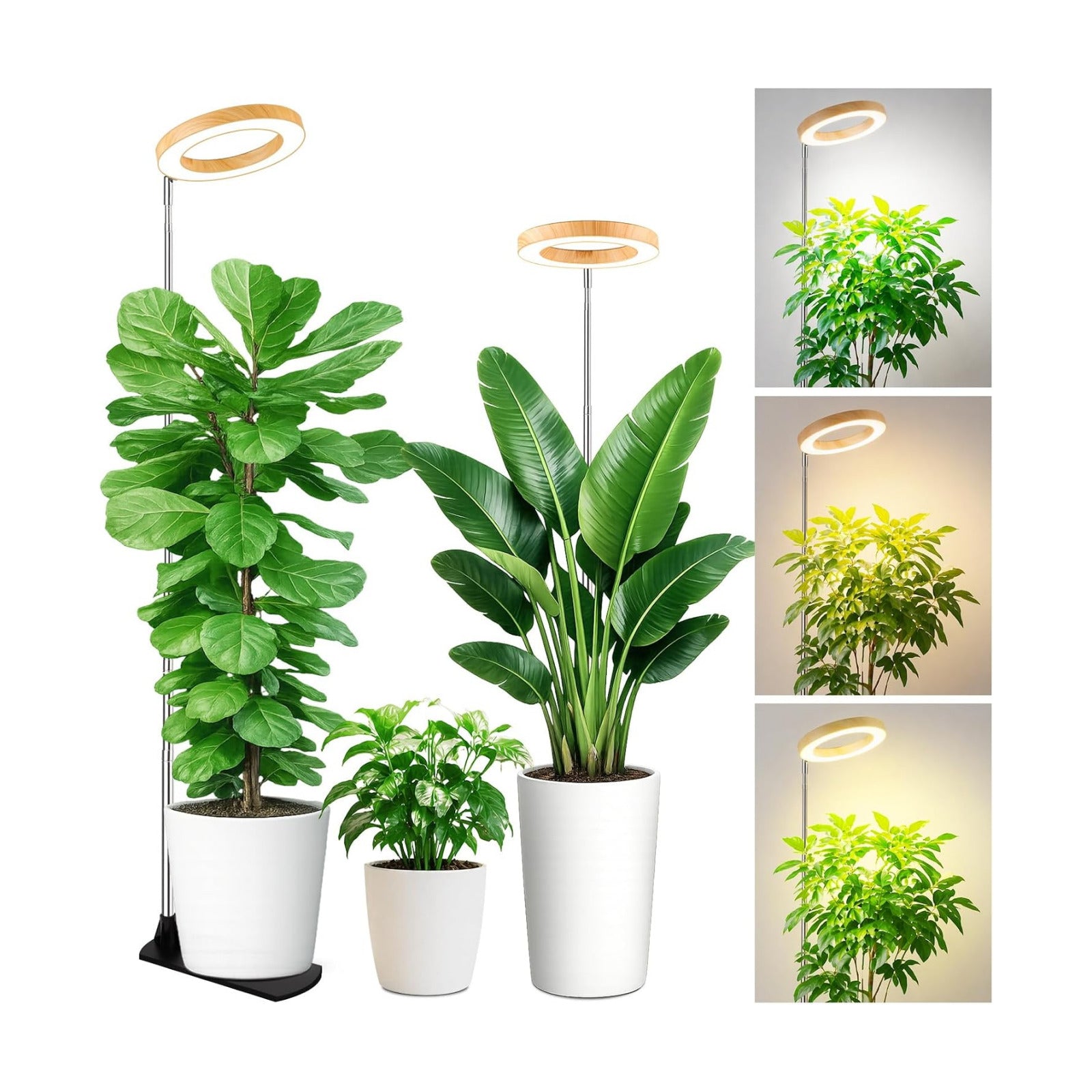 LBW Grow Lights for Indoor Plants, 6.3" Full Spectrum Plant Light with Base | Bamboo Grain, 65" Adjustable for Indoor