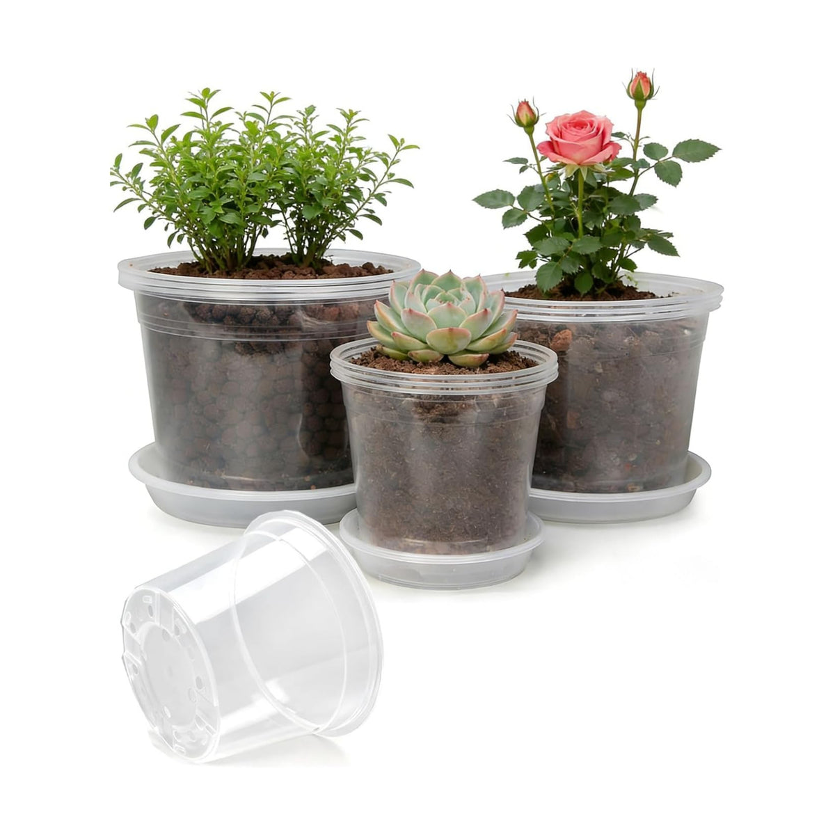 4 Sets 8 Inch Large Clear Nursery Pots with Drainage Holes.