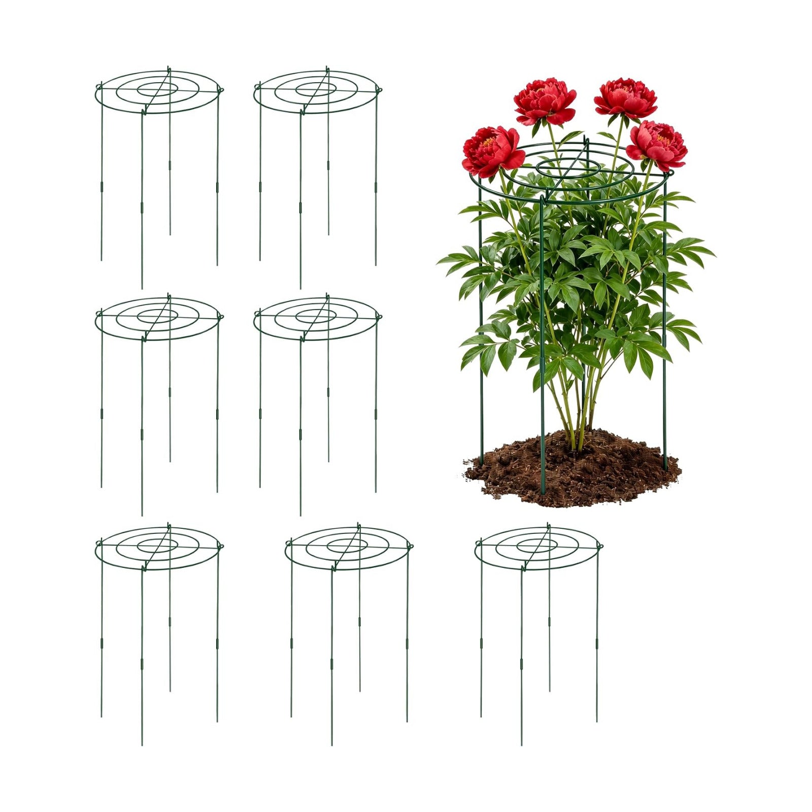 KEOHOLI 8 Pack 11.5" Dx24 H Pack Peony Cages Set Higher Peony Cages and Supports Heavy Duty Metal Plants Support Cage