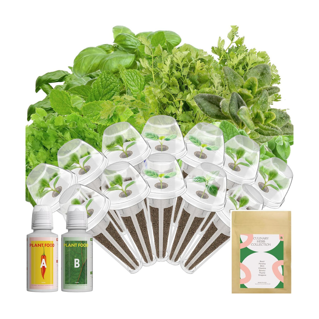 inbloom 12-Pod Gourmet Herb Basil Seed Pod Kit for AeroGarden, Ahopegarden Hydroponic Garden, Basil, Mint, Cilantro