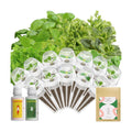 inbloom 12-Pod Gourmet Herb Basil Seed Pod Kit for AeroGarden, Ahopegarden Hydroponic Garden, Basil, Mint, Cilantro