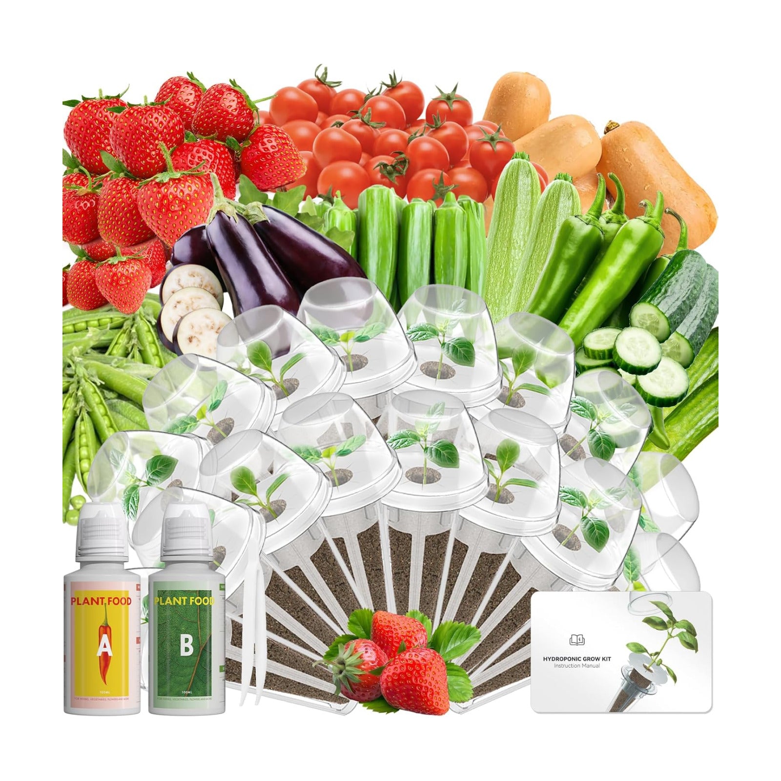 Veggies Seeds Pod Kit Compatible with AeroGarden Hydroponic Growing System | 16 Complete Pods with Everything, Red