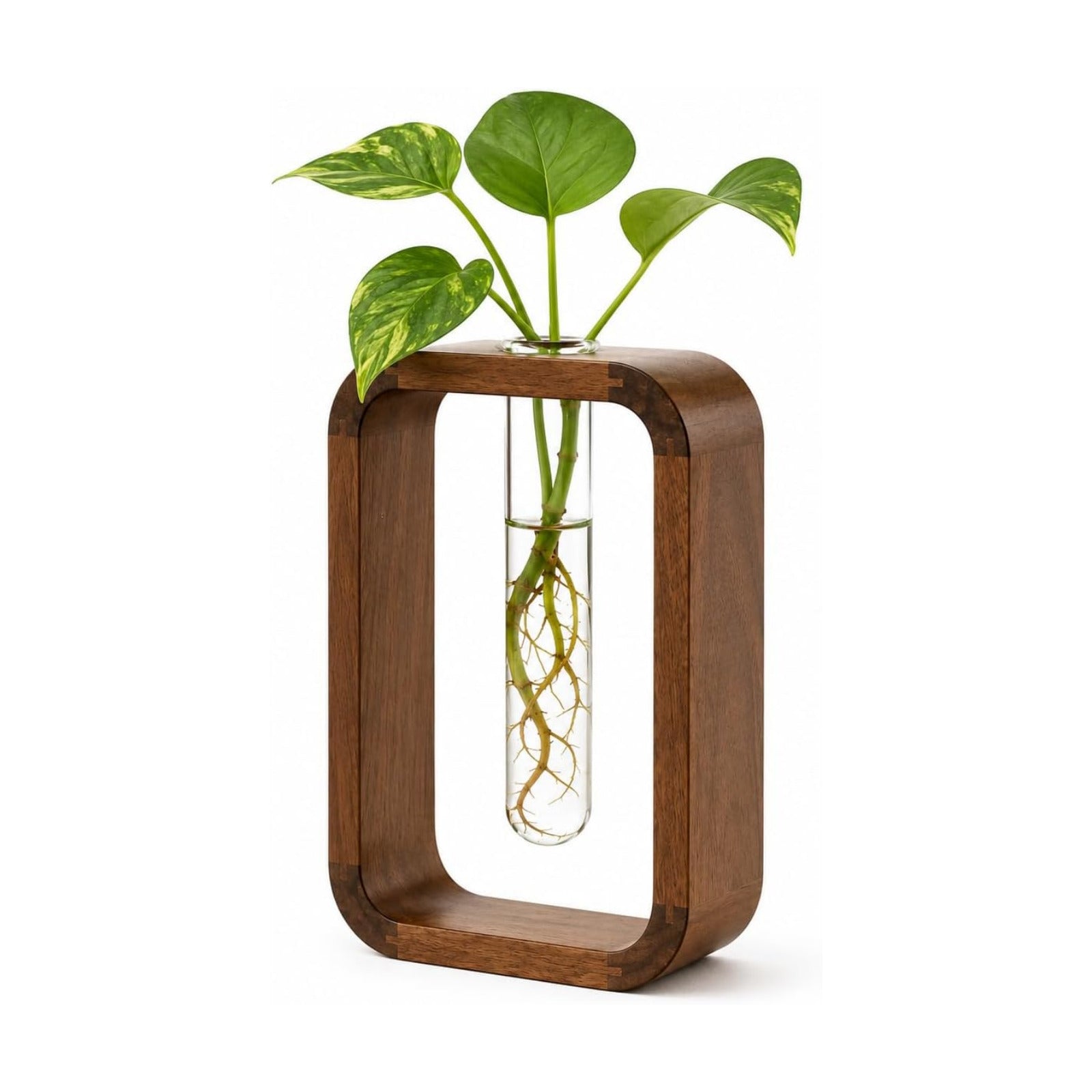 Modern Wooden Frame Glass Vase Hydroponic Planter – Minimalist Square Propagation Station with Test Tube Vase – Indoor