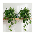 Artificial Pothos Hanging Plant, 25" Set of 2 Faux Ivy Vines with Pots | Fake Silk Realistic Hanging Greenery Plants