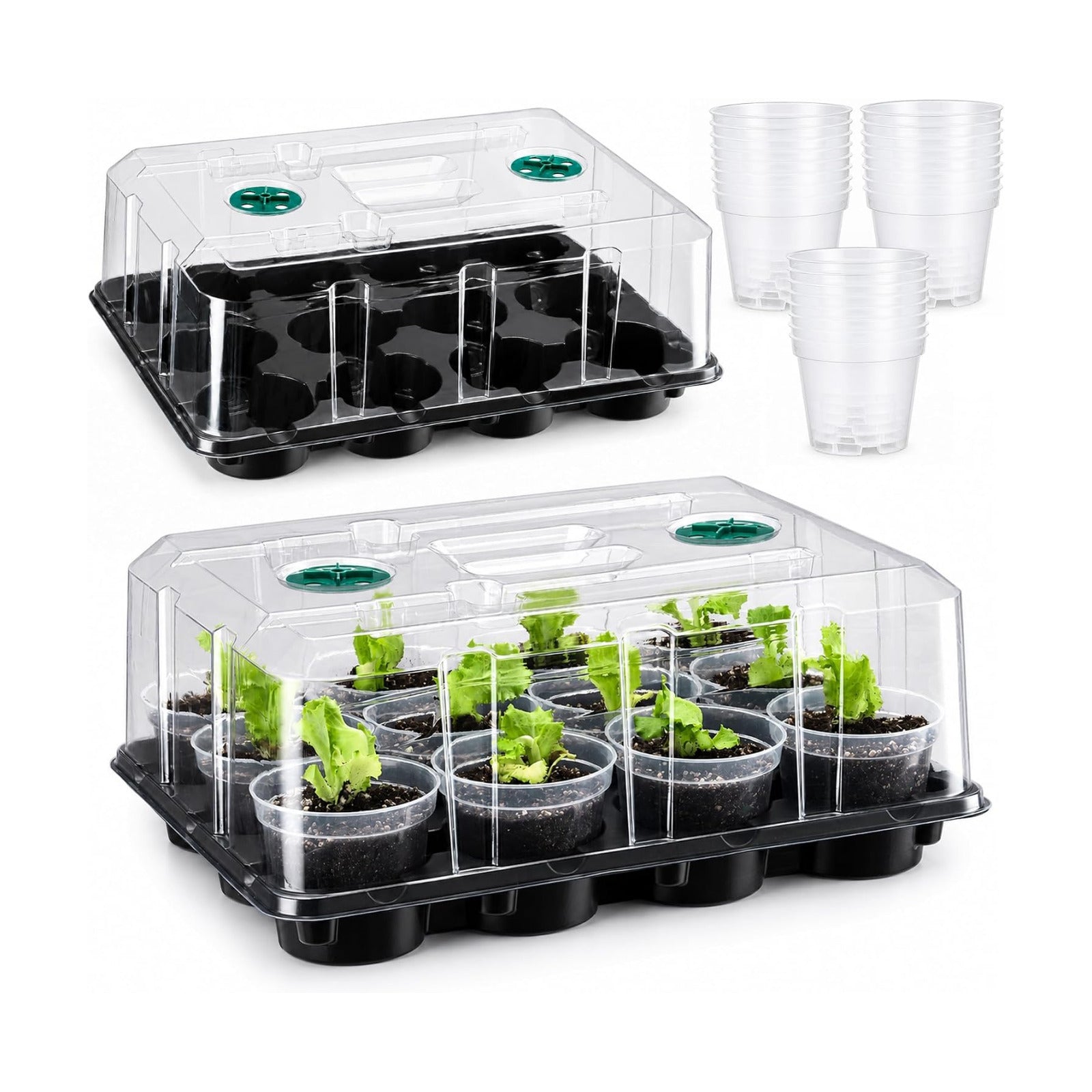 4 Inch Seed Starter Trays 2 Pack with Humidity Dome | 12-Cell Seedling Starter Trays, Plant Starter Germination Trays