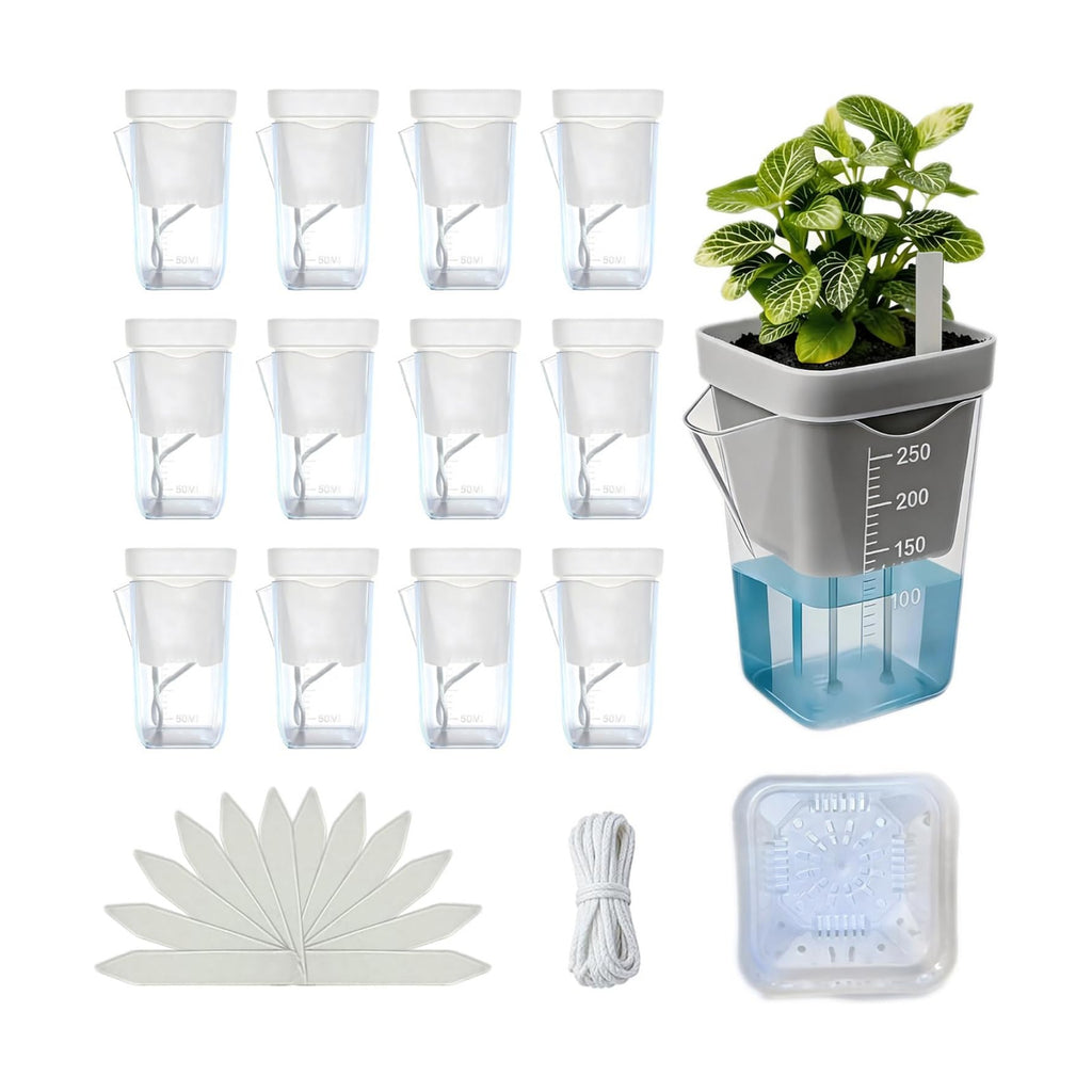 12 Pack 2.5 Inch Clear Self Watering Pots for Indoor Plants