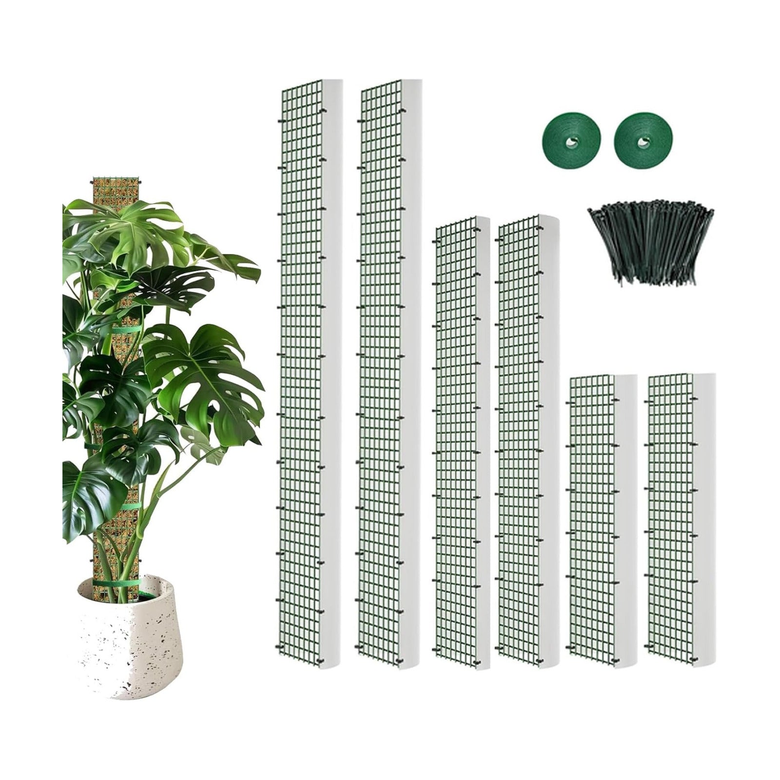 Moss Pole DIY Kit, D Shape Sphagnum Moss Pole Monstera Plant Support for Climbing Plants, DIY Plant Stakes Work with