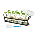 Salzesfalls Propagation Stations with Metal Stand, Tabletop Plant Terrarium | Plant Propagation Station & Vases,Table